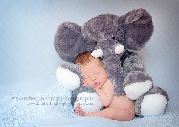 30 Adorable Newborn Babies’ Photographs