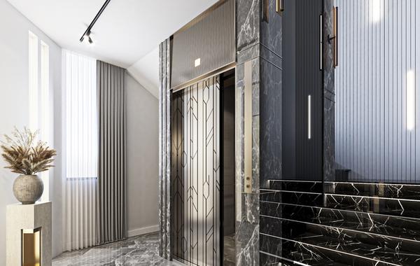 A Glimpse of Elevator Decorations in Luxury Villas