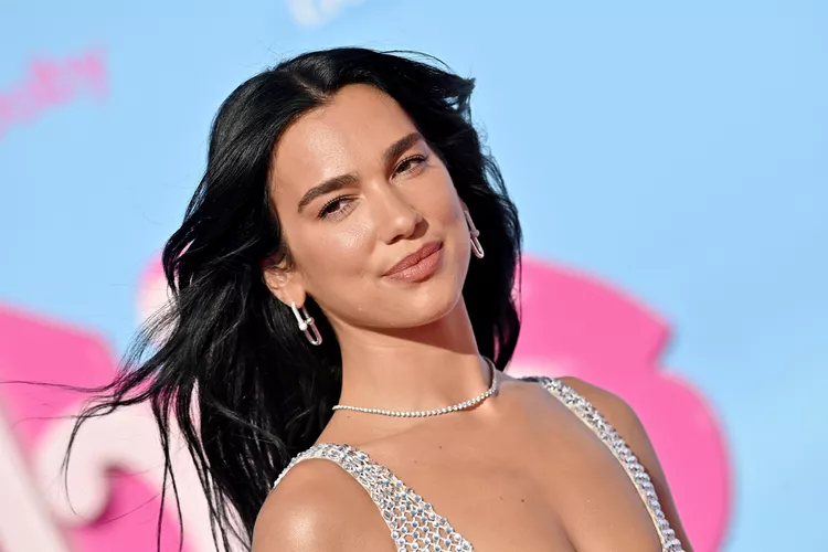 Dua Lipa's Instagram Photo Dump: The Metallic Pink Dress That Stole the Show